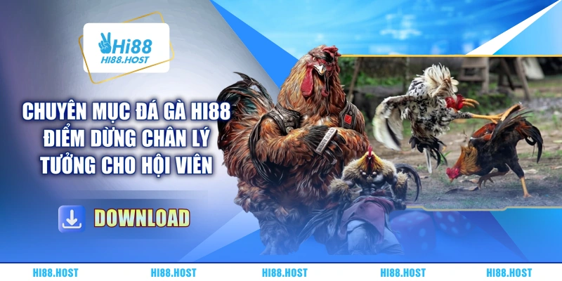 Chuyên mục đá gà HI88 điểm dừng chân lý tưởng cho hội viên